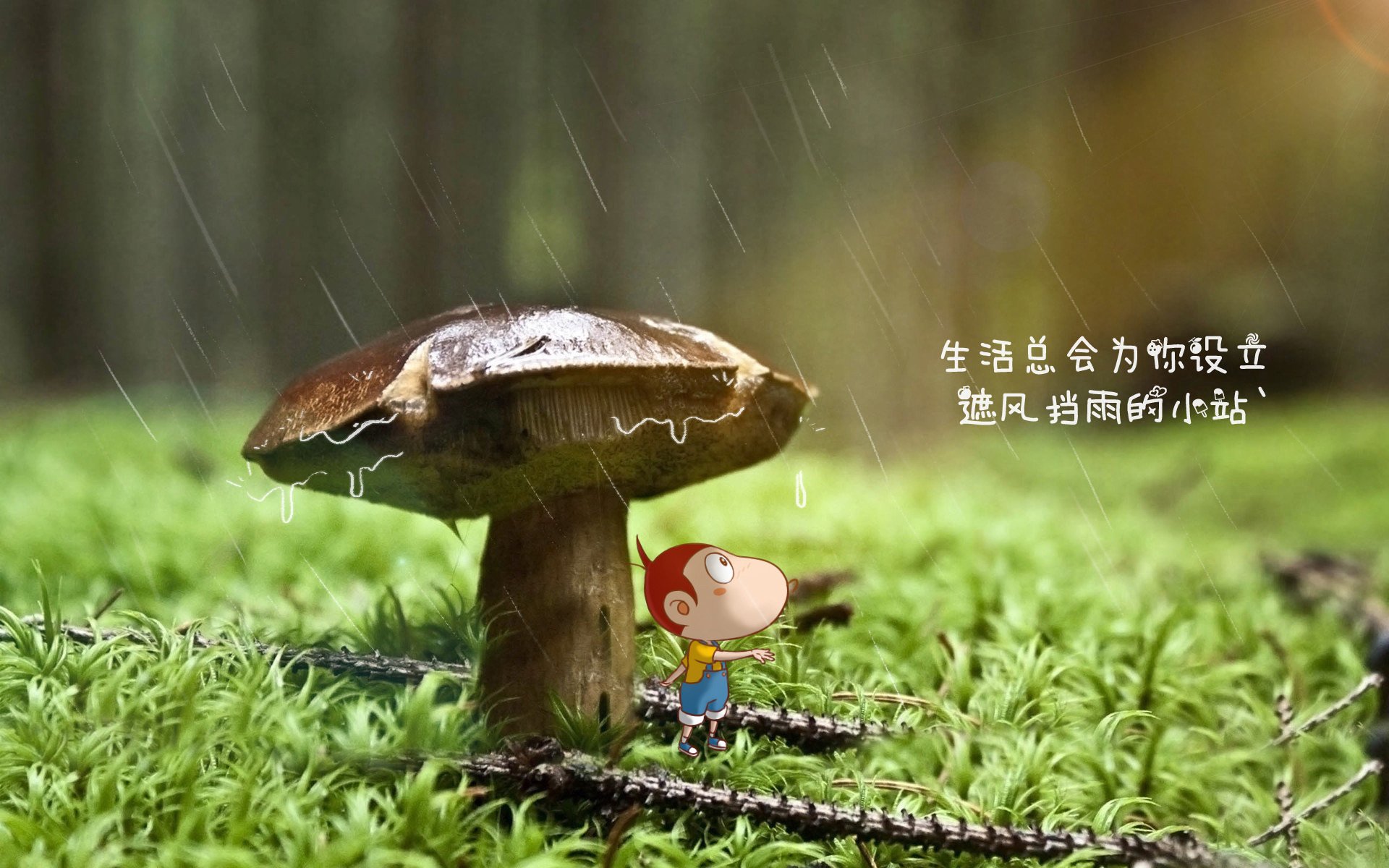 开云·体育官网APP下载-各国代表团快讯：最新战况一览，各国家代表