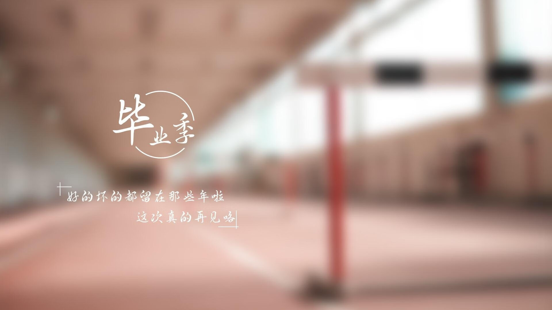 魔术队未来可期，青训体系初见成效，魔术队全称