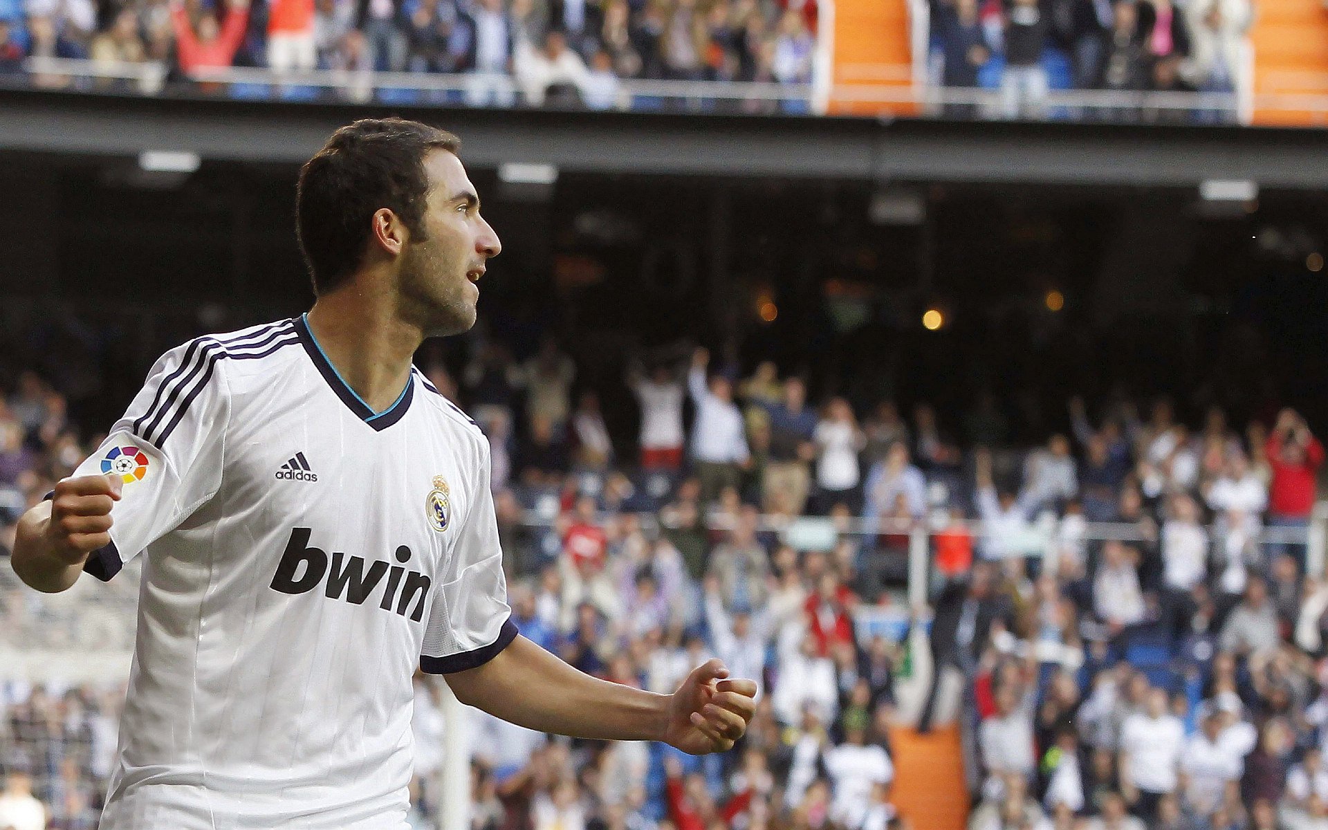 “德甲联盟进入关键阶段，冠军争夺再度升级”，德甲冠军次数排名最新