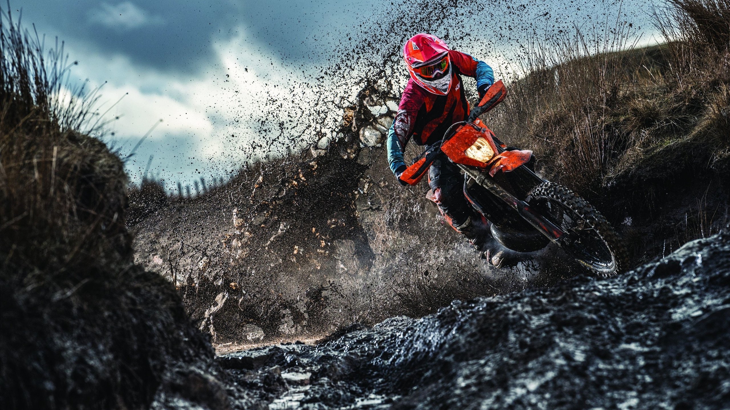 塞内加尔骑手阿卜杜·巴在非洲马术锦标赛上与“Dakar Star”马匹共同夺得障碍赛铜牌，展现默契配合。